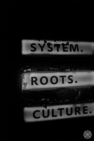 SYSTEM. ROOTS. CULTURE. @ Basstrace FIVE YEARS 